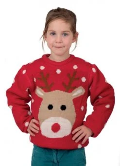 P'TIT Clown Re48132, Pull De Noël Enfant Rouge Avec Tête De Renne, Taille 10/12 Ans