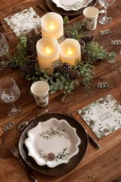 SANTEX 7696-10, Lot De 10 Gobelets Noël Hiver Végétal 7 SANTEX 7696-10, Lot De 10 Gobelets Noël Hiver Végétal -Xmas Deco Shop 96 7695